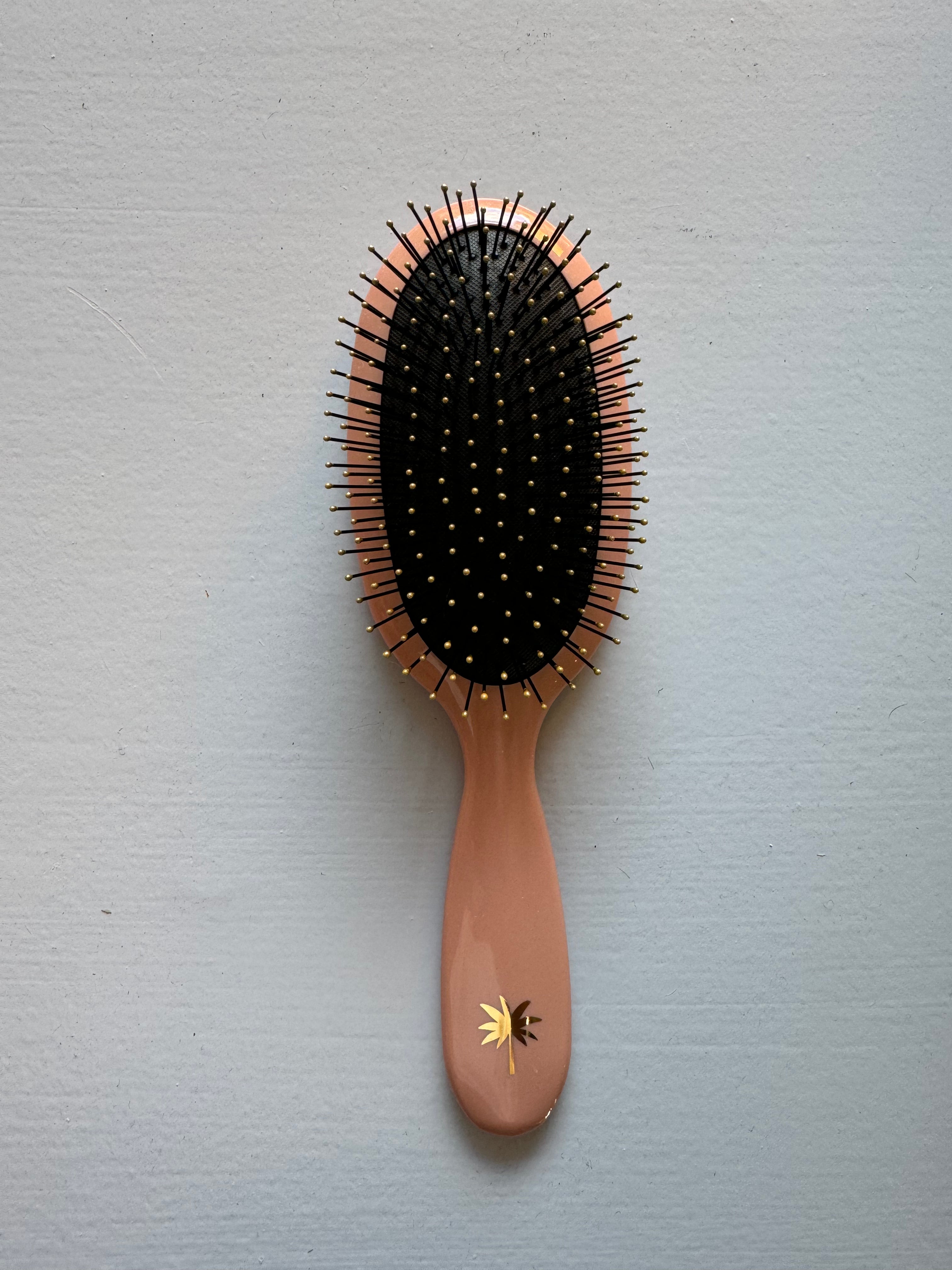 Hairbrush Beach Rose